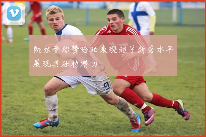 凯尔登称赞哈珀表现超乎新秀水平展现其独特潜力
